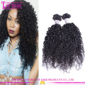 En gros 100% non transformés indien remy kinky bouclés cheveux vierges